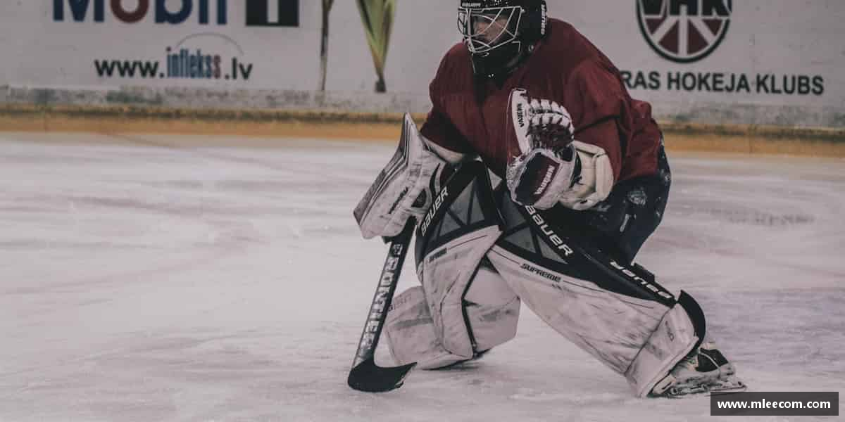 认识bb贝博艾弗森官方网站